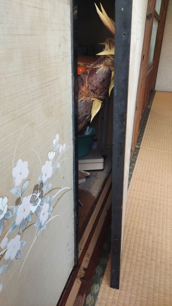 押し入れ　タケノコ　1